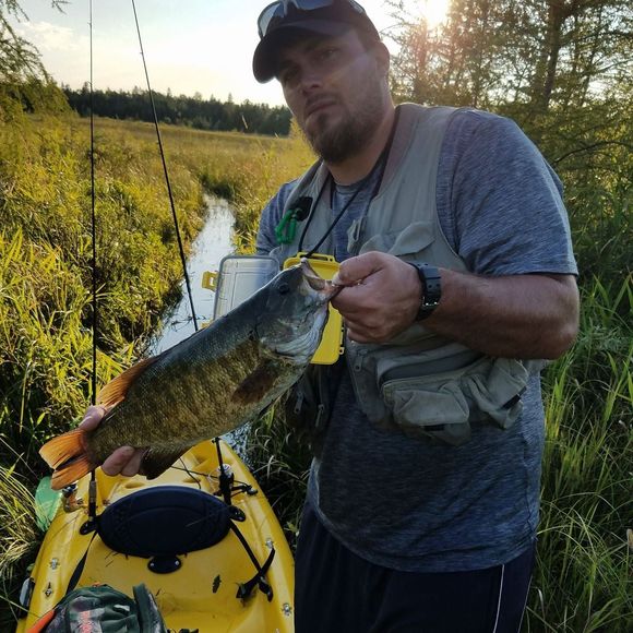 Meet your Posher, Andrew - Picture 1 of 1